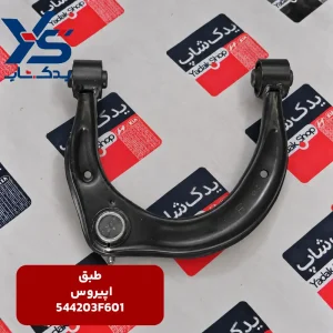 طبق کیا اپیروس
