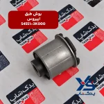 بوش طبق کیا اپیروس