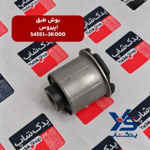 بوش طبق کیا اپیروس