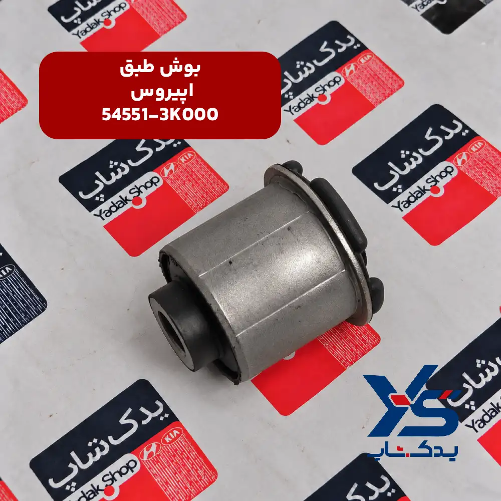 بوش طبق کیا اپیروس