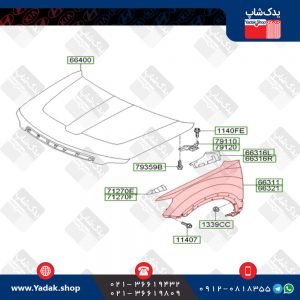 گلگیر جلو کیا موهاوی