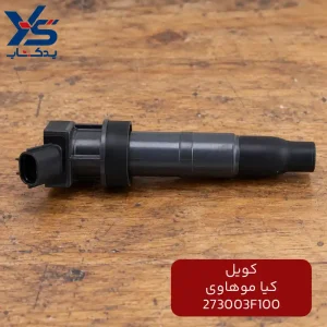 کویل کیا موهاوی
