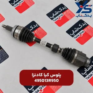 پلوس کیا کادنزا