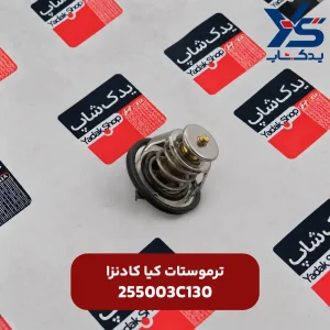 ترموستات کیا کادنزا