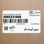 بيرون آورنده خار (09853-31000) کیا