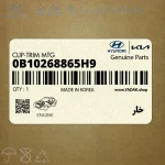 خار (0B10268865H9) کیا