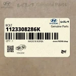 پيچ (1123308286K) کیا