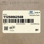 پيچ (1125006256B) کیا