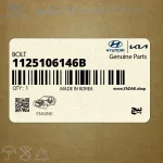 پيچ (1125106146B) کیا