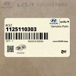 پيچ (1125110303) کیا