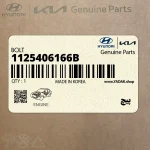 پيچ (1125406166B) کیا