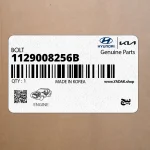 پيچ (1129008256B) کیا