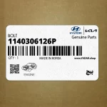 پيچ (1140306126P) کیا