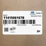 پيچ (1141506167B) کیا