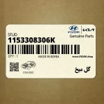 گل ميخ (1153308306K) کیا