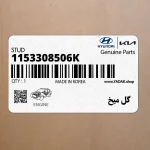 گل ميخ (1153308506K) کیا