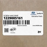 پيچ (1229005161) کیا