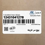 پيچ سر خزينه (1243104127B) کیا