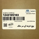 پيچ خزينه اي سر صاف (1243105103) کیا