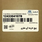 پيچ خزينه اي مغزي (1243304107B) کیا