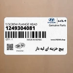پيچ خزينه اي لبه دار (1249304081) کیا