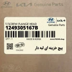 پيچ خزينه اي لبه دار (1249305167B) کیا