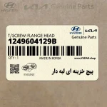 پيچ خزينه اي لبه دار (1249604129B) کیا