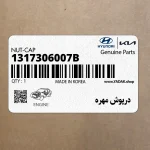 درپوش مهره (1317306007B) کیا