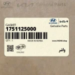 واشر (1751125000) کیا