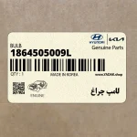 لامپ چراغ (1864505009L) کیا