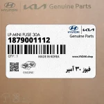 فيوز 30 آمپر (1879001112) کیا