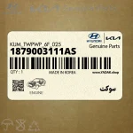 سوكت (1879003111AS) کیا