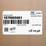 فيوزچند كاره (1879005001) کیا