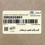 كيت واشر تعمير سرسيلندر (209202GB01) کیا