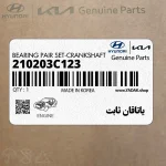 ياتاقان ثابت (210203C123) کیا