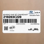 ياتاقان ثابت (210203C220) کیا