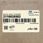 بلوك سيلندر (211003E003) کیا