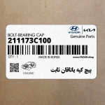 پيچ كپه ياتاقان ثابت (211173C100) کیا
