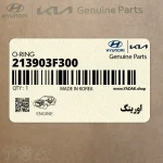 اورينگ (213903F300) کیا