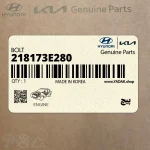 پيچ (218173E280) کیا