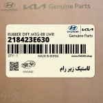 لاستيك زير رام (218423E630) کیا