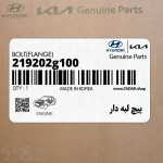 پيچ لبه دار (219202g100) کیا
