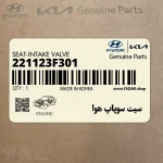 سيت سوپاپ هوا (221123F301) کیا