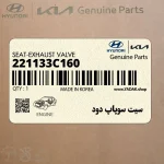 سيت سوپاپ دود (221133C160) کیا