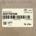 سوپاپ هوا (222113F330) کیا