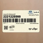 سوپاپ دود (222122E000) کیا