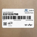سوپاپ دود (222122G700) کیا