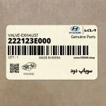 سوپاپ دود (222123E000) کیا