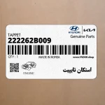 استكان تايپيت (222262B009) کیا