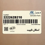 استكان تايپيت (222262B210) کیا